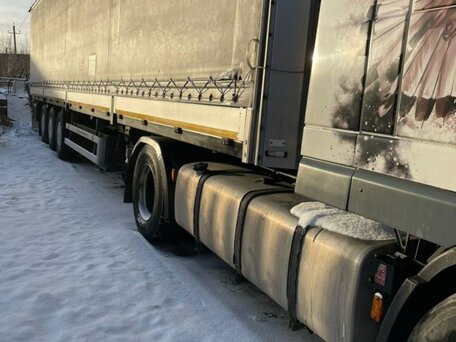 2004 DAF XF 95, белый, 4200000 рублей, вид 3