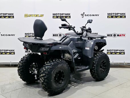 2025 Bison 250U, серый, 309900 рублей, вид 5