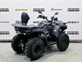 2025 Bison 250U, серый - вид 4