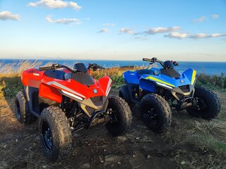 2025 Другие ATV (другие), красный, 115000 рублей, вид 1