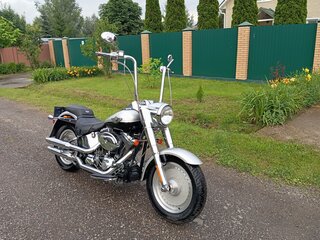 2004 Harley-Davidson Fat Boy, серебристый, 690000 рублей, вид 2