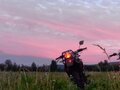 2023 Racer Panther, оранжевый, 120000 рублей - вид 1