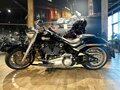 2022 Harley-Davidson Fat Boy, чёрный, 3100000 рублей - вид 9