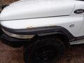 2008 ТагАЗ Tager, белый, 700000 рублей - вид 6