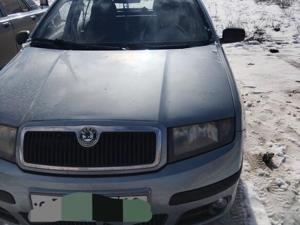 2004 Skoda Fabia I, серый, 280000 рублей