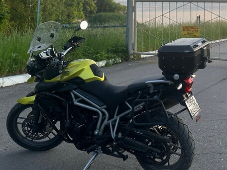 2011 Triumph Tiger 800, жёлтый, 605000 рублей, вид 2