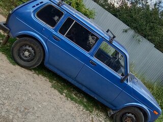 2004 Lada (ВАЗ) 2131 (4x4) I, синий, 350000 рублей, вид 3