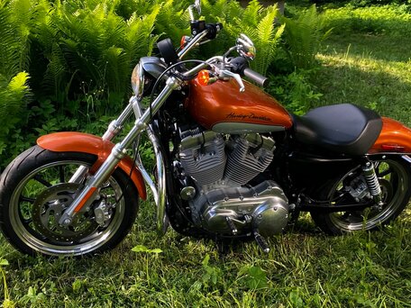 2014 Harley-Davidson Sportster 883, оранжевый, 925000 рублей, вид 2