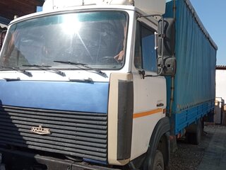 2006 МАЗ 4370, серый, 450000 рублей, вид 1