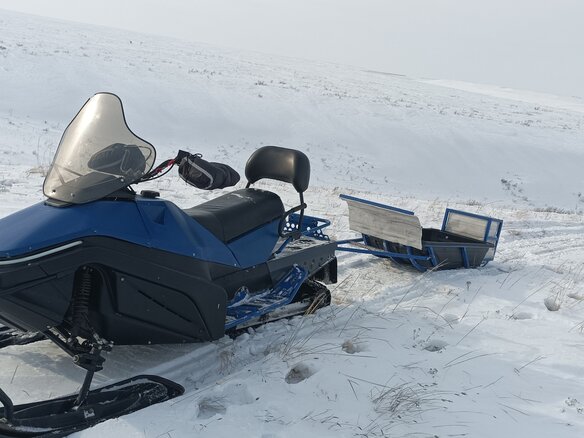 2023 Sharmax SN-650, синий, 500000 рублей - вид 3