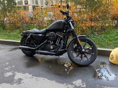 2019 Harley-Davidson Sportster 883, серый, 883000 рублей, вид 1