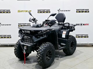 2025 Bison 250U, чёрный, 309900 рублей, вид 1