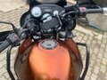 2005 Triumph Tiger 955i, коричневый, 415000 рублей - вид 5