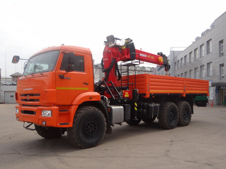 2024 КамАЗ 43118, оранжевый, 10700000 рублей, вид 3