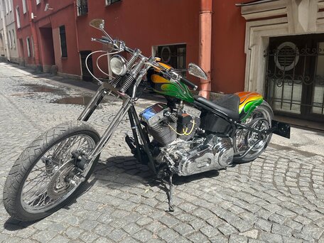 2011 Harley-Davidson Softail Custom, зелёный, 900000 рублей, вид 5