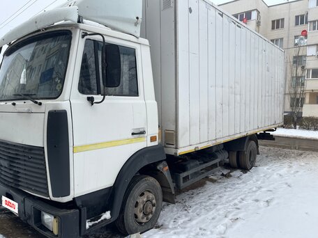 2009 МАЗ 4370, белый, 700000 рублей, вид 3