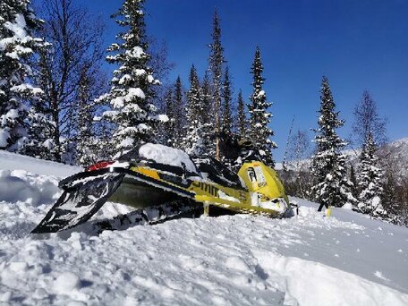 2015 BRP Ski-Doo Summit 800, жёлтый, 799000 рублей, вид 2