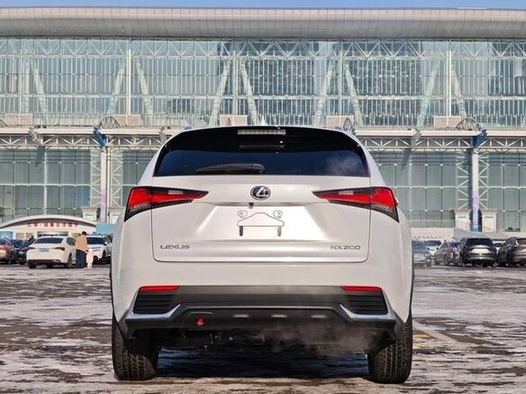 2021 Lexus NX 200 I Рестайлинг, белый, 3750000 рублей - вид 5