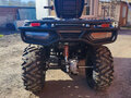 2026 Loncin XWolf 300 Max, серый, 485000 рублей - вид 9