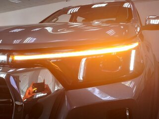 2025 Changan Hunter Plus, серый, 3969900 рублей, вид 5