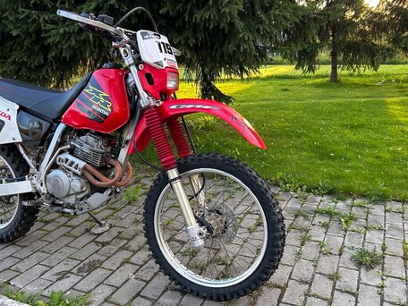 2004 Honda XR 250, красный, 313000 рублей, вид 2