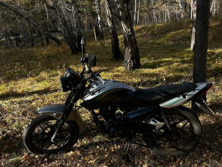 2024 Racer Tiger, серый, 100000 рублей, вид 2