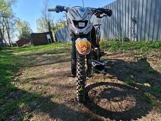 Pitster Pro LX5 125