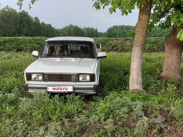 1999 LADA (ВАЗ) ВИС 2345, белый, 260000 рублей