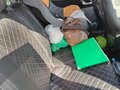 2009 Lada (ВАЗ) Priora I, серый, 300000 рублей - вид 6