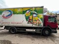 2008 Scania P-series, красный, 2650000 рублей - вид 3