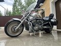 2002 Harley-Davidson V-Rod, серебристый, 770000 рублей - вид 6