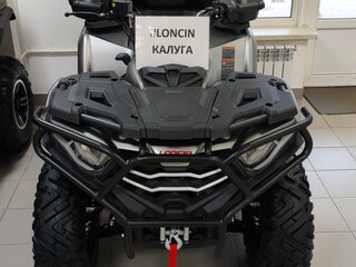 2026 Loncin XWolf 300 Max, серый, 485000 рублей, вид 1