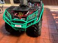 2014 CFMoto CF800-2 (X8), зелёный, 780000 рублей - вид 10