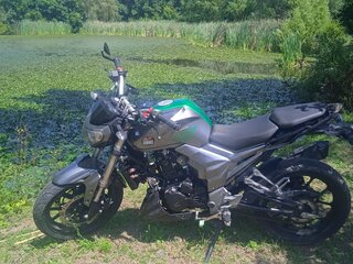 2020 Regulmoto T-Leopard 300, зелёный, 140000 рублей, вид 5