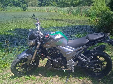 2020 Regulmoto T-Leopard 300, зелёный, 140000 рублей, вид 5