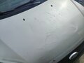 2007 Ford Focus II, серебристый, 230000 рублей - вид 7