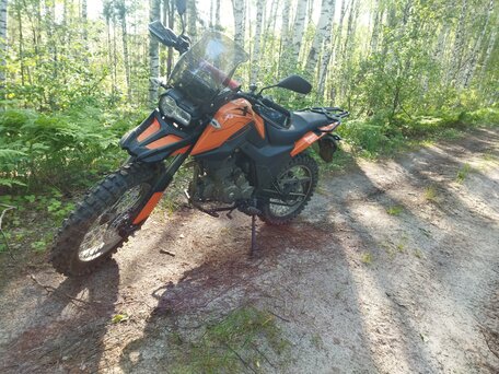 2023 Shineray Fireguard 250 Trail, оранжевый, 135000 рублей, вид 1