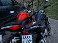 2014 Stels Flex 250, оранжевый, 105000 рублей - вид 4