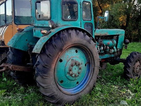 1986 ЛТЗ Т-40АМ, зелёный, 230000 рублей, вид 3