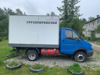 2012 ГАЗ ГАЗель (3302), голубой, 690000 рублей, вид 4