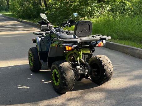2023 Motoland Wild Track 200 X Pro, зелёный, 165000 рублей, вид 3