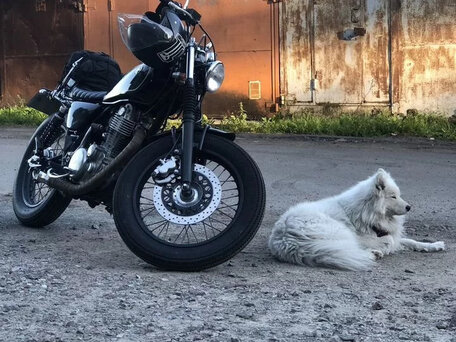 2001 Yamaha SR400, чёрный, 300000 рублей, вид 1