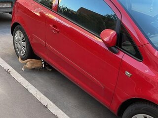 2006 Opel Corsa D, красный, 330000 рублей, вид 2