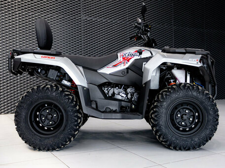 2026 Loncin XWolf 300 Max, серебристый, 485000 рублей, вид 4