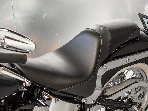 2006 Harley-Davidson Softail Deluxe, серебристый, 873952 рублей - вид 16