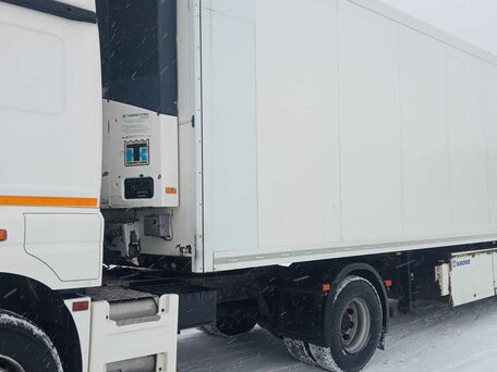 2018 КамАЗ 5490, белый, 1700000 рублей, вид 2