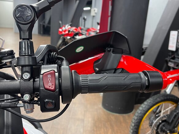 2026 QJMotor SRT 450 RX, красный, 625000 рублей - вид 11