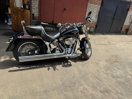 2004 Harley-Davidson Bad Boy, чёрный, 670000 рублей, вид 5