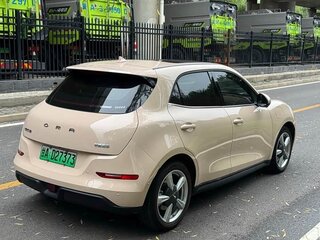 2024 Ora Good Cat 47.8 kWh I, бежевый, 1552000 рублей, вид 5