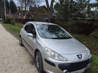 2006 Peugeot 307 I Рестайлинг, серый, 210000 рублей, вид 1